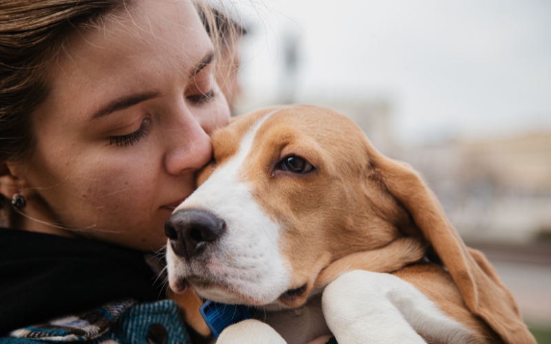 Senior Pet Care from Home: How Virtual Vets Can Help with Age-Related Conditions